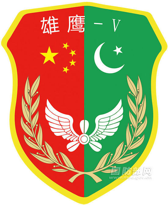 中巴空军联合训练曝光 歼11歼8F出国-中国学网