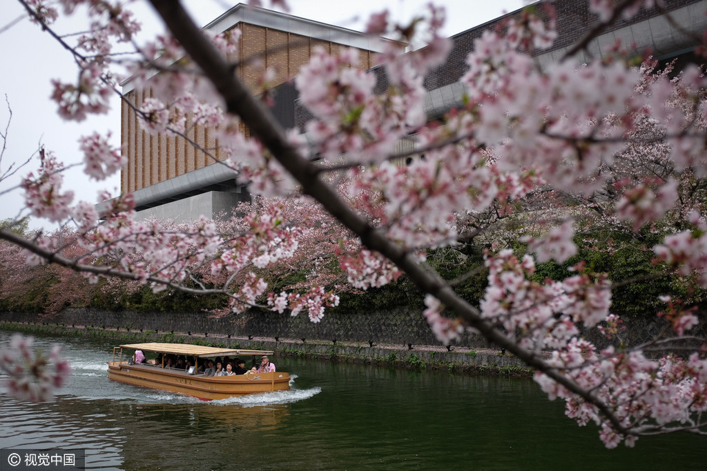 中国游客到日本人均消费2万元 穿和服赴日赏樱