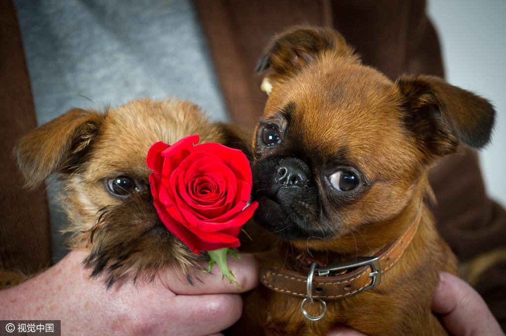 为了结婚都好拼 盘点五花八门的相亲会