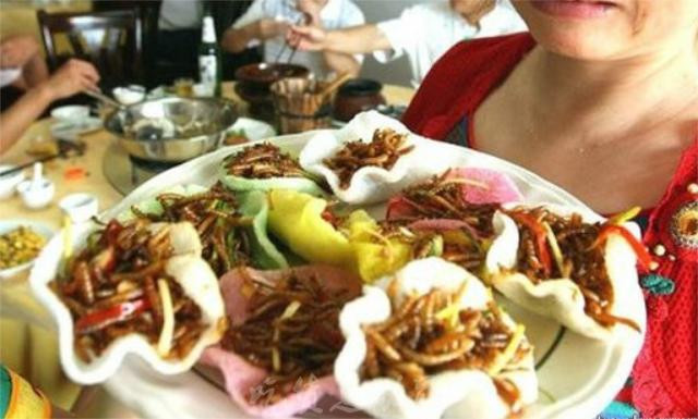 关于虫子美食的争论几时休,你是吃不吃呢?