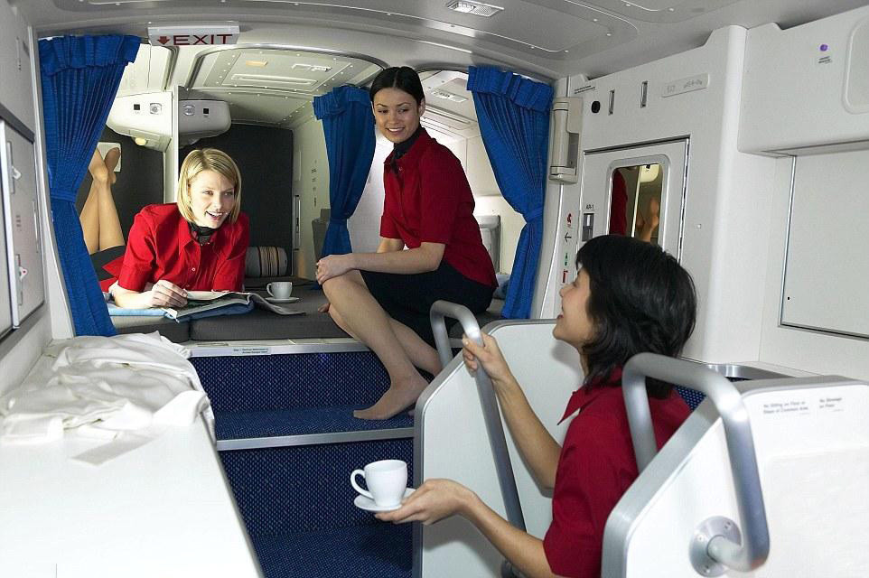 空姐招聘要求_普通舱的空姐和头等舱的空姐的区别是什么(2)