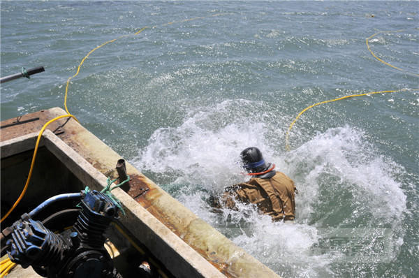 海底"捕参者"说:月挣三万