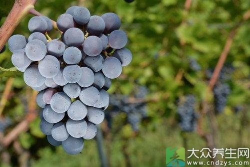 最新男炉鼎_男炉鼎全文阅读_男炉鼎小说