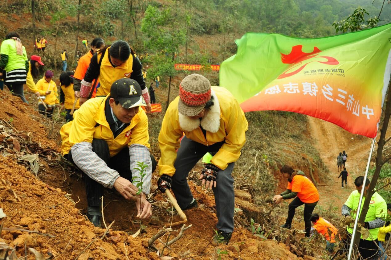 全民植树日 300余志愿者为中山三乡添绿色